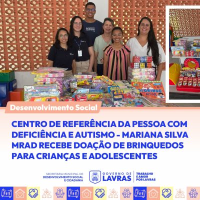 DesSocial_brinquedos__1