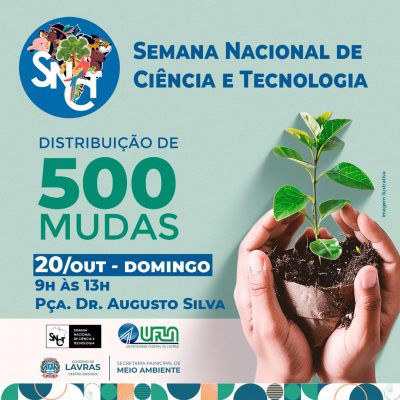 DistribuicaoMudasDomingo