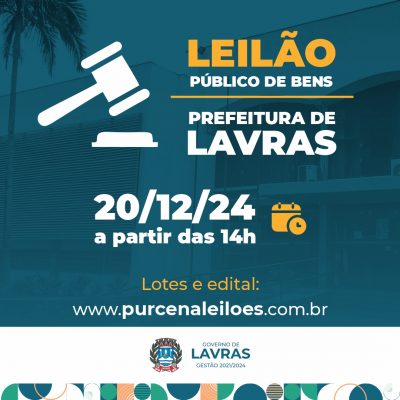 Leilao24