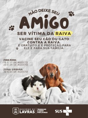 WhatsApp Image 2025-08-06 at 13.25.15