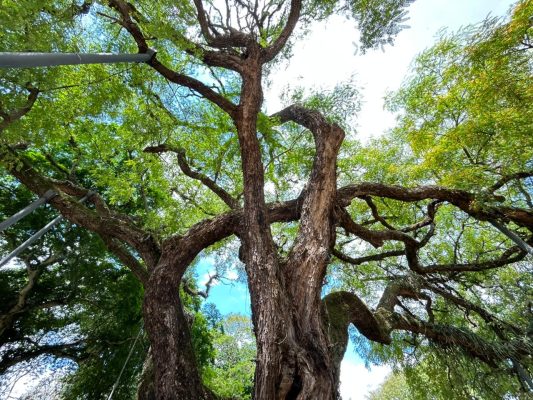 WhatsApp Image 2025-11-07 at 16.29.53 (2)