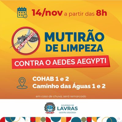 mutirão dengue
